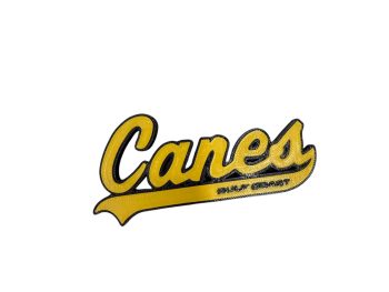 Canes Gulf Coast
